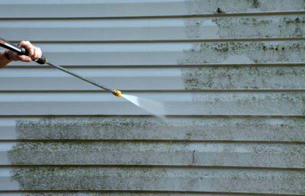 Best Post-Flood Mold Remediation in Nth Bend, OR