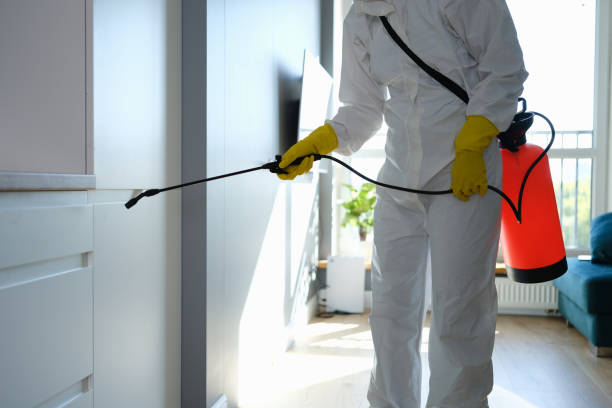 Trusted North Bend, OR Mold Remediation Experts